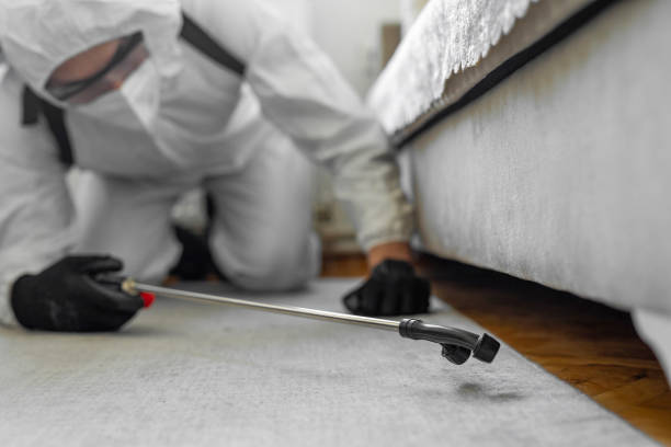 Professional Termite Control technician working in Lakeway, TX