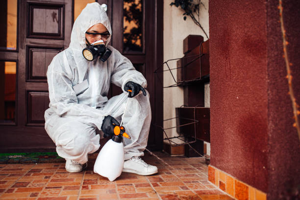 Reliable Termite Control contractor in Lakeway, TX by Nex Pest Control