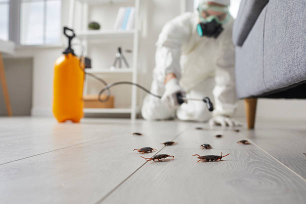Trusted Fumigation Services service in Lakeway, TX - Nex Pest Control