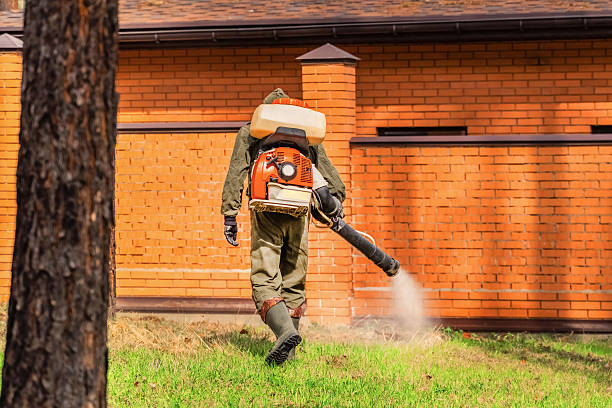 Trusted Termite Control service in Lakeway, TX - Nex Pest Control